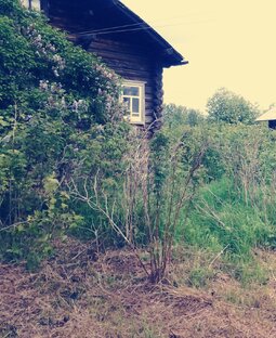 Невидимый хозяин дома