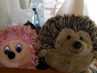 Плюшевые истории