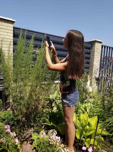 Прогуляемся?! Обзоры сада в разные сезоны 