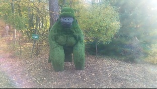 Новосибирский зоопарк имени Р. Шило