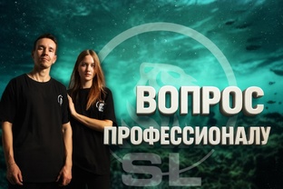 Вопросы профессионалу 👍