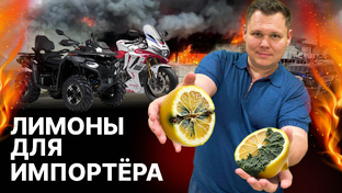 Лимоны для импортеров 