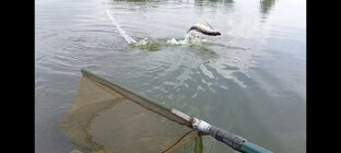 Рыбалка на спиннинг.