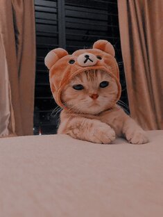 Куку