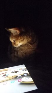 Инвестиции