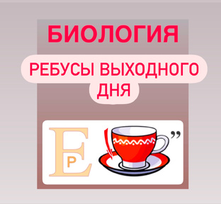 РЕБУСЫ ВЫХОДНОГО ДНЯ