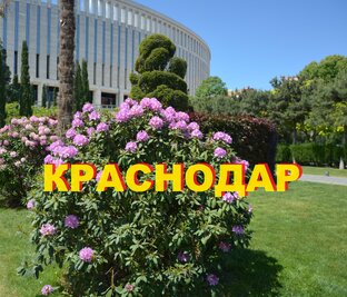 КРАСНОДАР