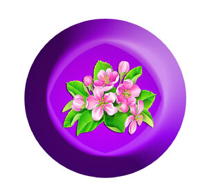 Подборка видео роликов