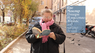 Книжные влоги, теги и другие затеи