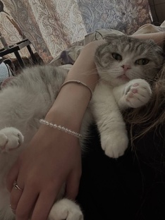 Моя любимая кошка🫶