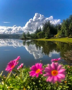 Музыка для души✨🎶