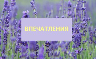 Впечатления