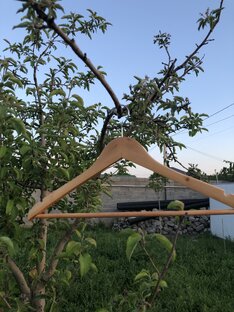 📌ТЕМЫ ДЛЯ САМОРАЗВИТИЯ: 