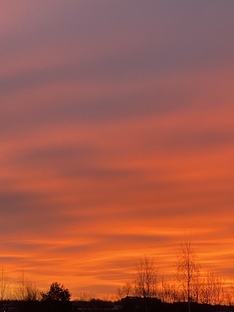 Всякая всячина