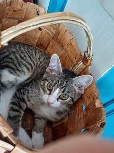 Вологодская область