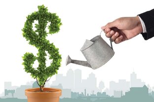 Отчёты о покупках