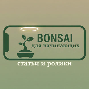 Начинающим любителям бонсай
