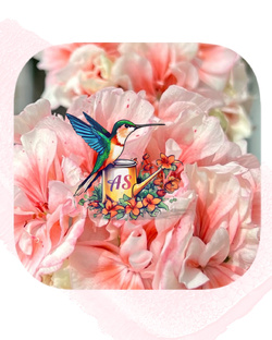 Моя коллекция пеларгоний