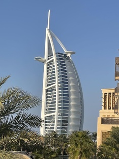 ОАЭ и Катар