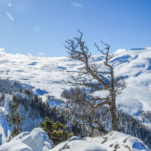 Зима в Адыгее