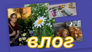 ВЛОГИ