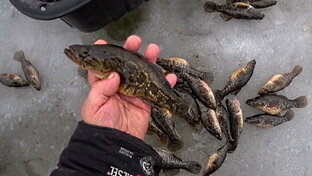 рыбалка зимой