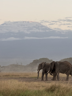 Факты | Культура Африки