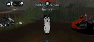 эдиты