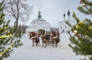 По следам зимних сказок 
