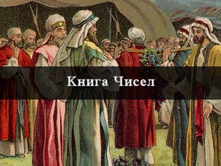 Числа