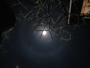 Интересное и необычное.