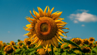 Другие города России