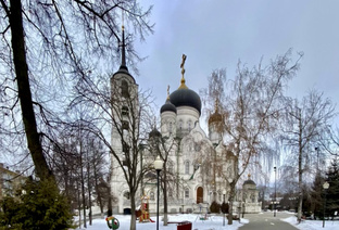 Воронежская область