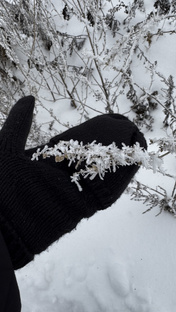 Мои путешествия - четные обзоры разных мест для жизни и поездок