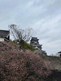 Шанхай-Япония