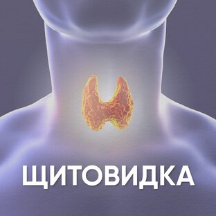 Здоровье щитовидной железы
