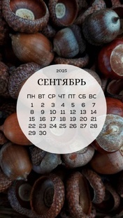 ПРОГНОЗ НА СЕНТЯБРЬ 2025 г.