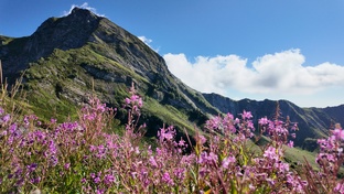 Лучшее в блоге