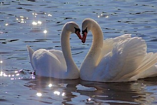 Книга 2. Вечность на Двоих. 