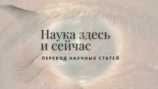 Перевод научных статей