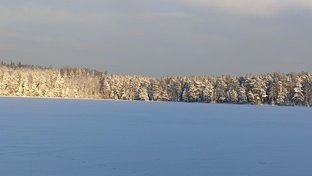 Статистика рыбалок 2026