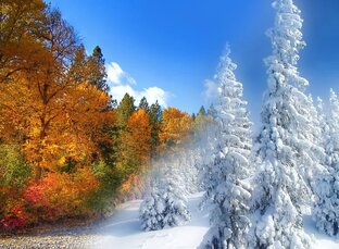 Осень-зима, о красоте в холода