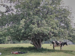 Проект деревня от середины 70 х