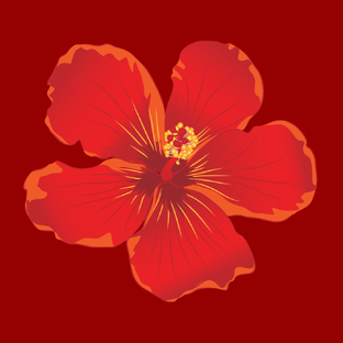 Краски жизни