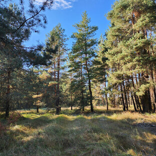 Неприрученная природа