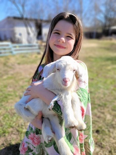 Жизнь деревенская 