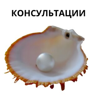 КОНСУЛЬТАЦИИ