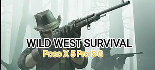 Wild West Survival 