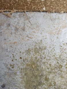 повесть о детстве Ф. Гладков