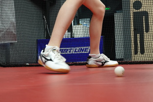 Спортивные напольные покрытия